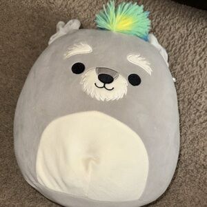 May the Schnauzer Squishmallow